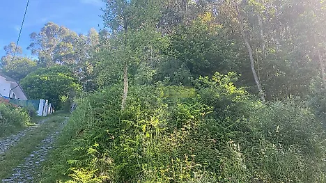 image-74VQQOpUt3c-0