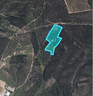 image-2HdRiKMBAbW-0