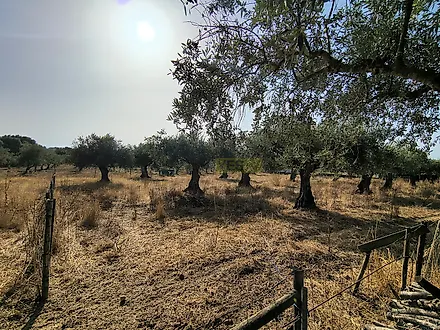 image-5V9xO6z15xA-0