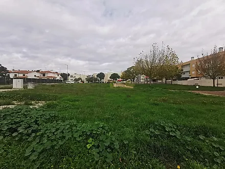 image-6VBINO7Z2gh-0