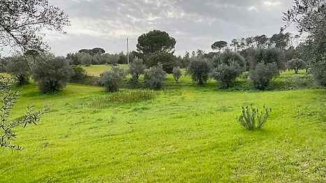 image-720sylp6lNR-0