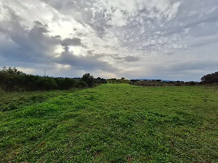 image-JjImRaBqnCl-0