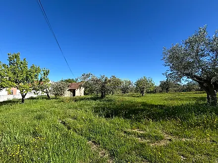 image-Jnmz9OVG2Rf-0