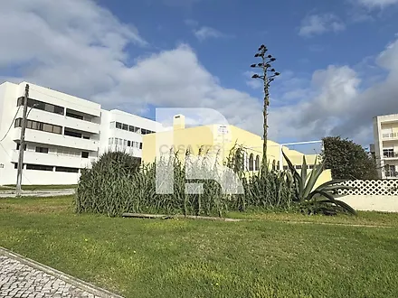 image-IcbyrXFX9lw-0