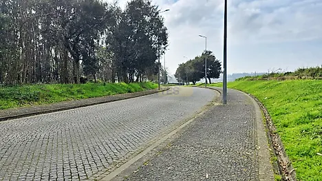 image-CjcFTHcLZuj-0