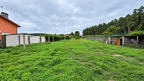 image-JREjOQEauzy-0