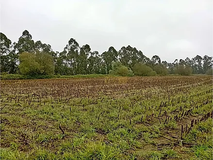 Land for sale in Trofa, Portugal — €700,000