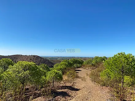 image-KG9e3VU4C8o-0