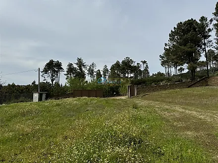 image-HXd8X6N0u2C-0
