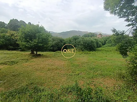 image-FUqFdJiH7oU-0