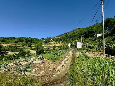 image-4NgivaUwcWq-0