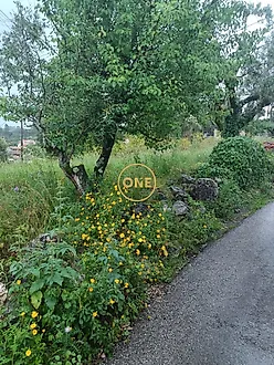 image-45SscDjLUCH-0