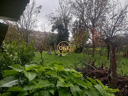 image-52oKTcOX7Vx-0
