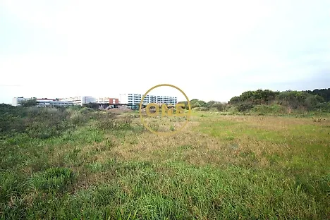 image-7ZDVCaYBvuM-0