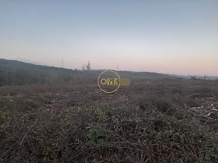 image-9QyF2v4CqBk-0
