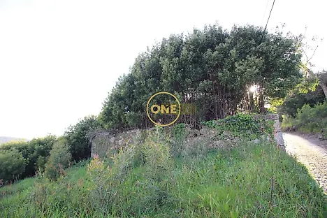 image-DjgKxPktEL8-0