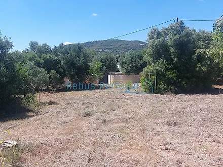 image-4duIbFQvoIw-0