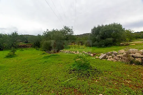 image-9DqLaMAe2VX-0