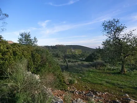 image-IwKYdAolXRp-0