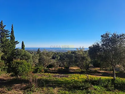 image-Kzv11RumNLV-0