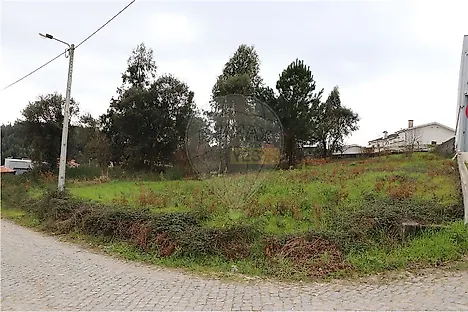 image-KeD5s5UBoTq-0
