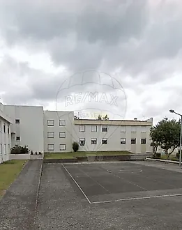 image-D2pXpuScXoN-0