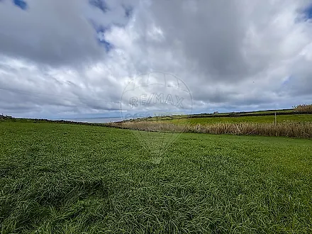 image-IeIULWi65XO-0