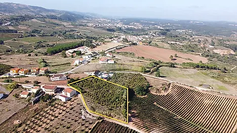 image-LnPnVivmMoR-0