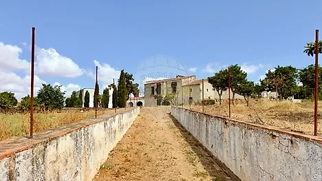 image-7cjQggvZUtP-0