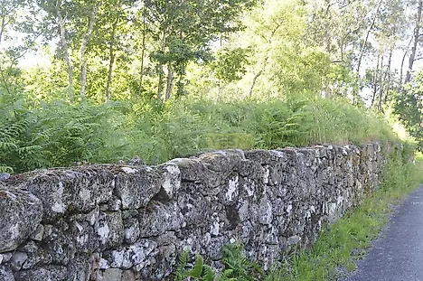 image-4HrXf0Wo05C-0