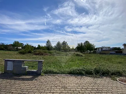 image-COLsVqYfxUg-0
