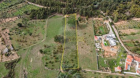 image-HEKbiowT226-0