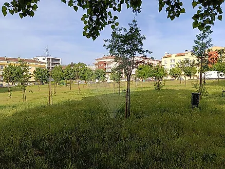 image-Km5IejhCA9b-0