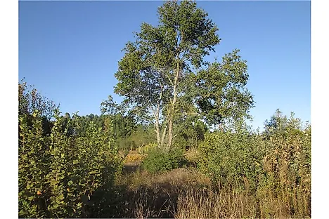 image-GKbgpsSArfy-0