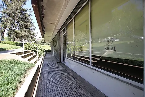 image-BlMFswZtnBl-0