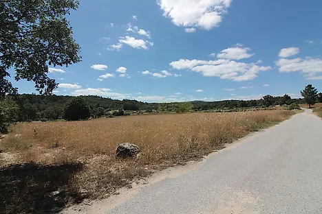 image-68d3c6mcJnM-0