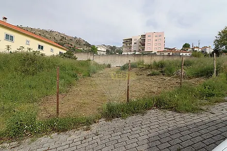 image-CTl0QoKZrDv-0