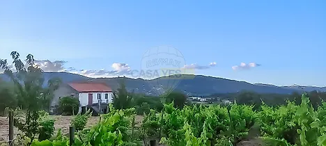 image-Itl6rHFhKIg-0