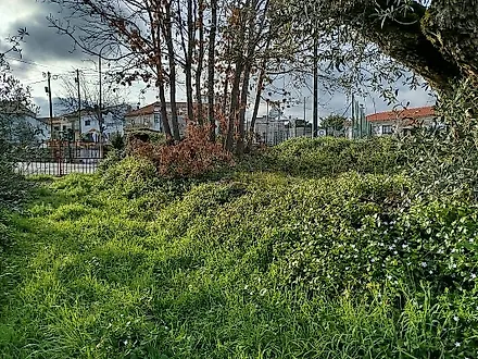 image-JvprrG43KtM-0