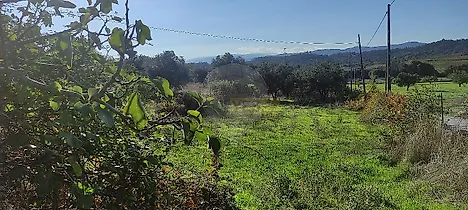 image-e4Uj2ab9D-0