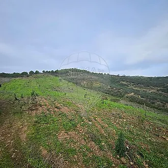 image-CJTOhYhvlqV-0