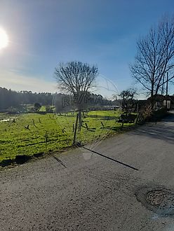 image-JkL3rgD9M40-0