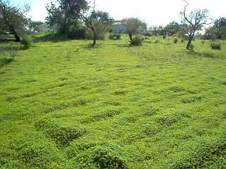 image-53LCyrnb5Xa-0
