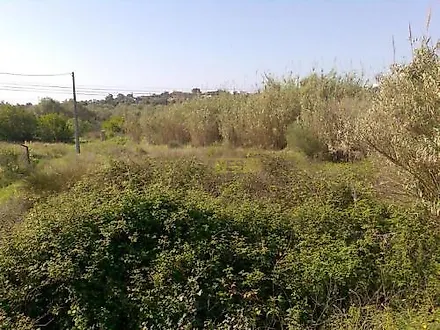 listing-66WUIRmjLRT
