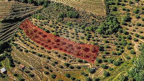 image-5Zc03Lsdzyg-0