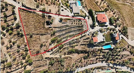 image-5hQof8OVAma-0