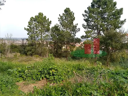 Land for sale in Abrantes, Portugal — €99,000