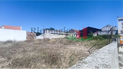 Land for sale in Alpiarça, Portugal — €204,120