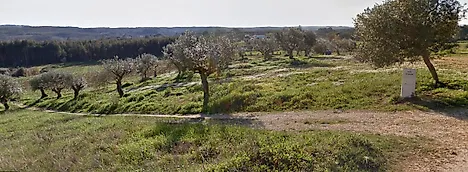 image-3bhBNphhlRu-0