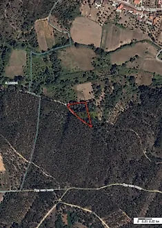 listing-6zVpadw8oF5